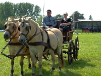 Fahrturnier 2009 in Trent auf Rügen