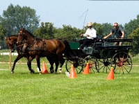 Fahrturnier 2009 in Trent auf Rügen