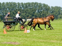 Fahrturnier 2009 in Trent auf Rügen