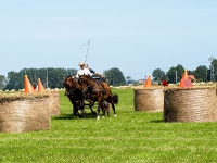 Fahrturnier 2009 in Trent auf Rügen