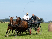 Fahrturnier 2009 in Trent auf Rügen