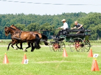 Fahrturnier 2009 in Trent auf Rügen