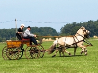 Fahrturnier 2009 in Trent auf Rügen