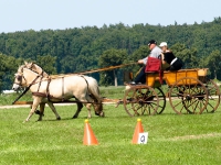 Fahrturnier 2009 in Trent auf Rügen