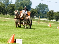 Fahrturnier 2009 in Trent auf Rügen