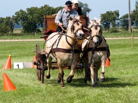 Fahrturnier 2009 in Trent auf Rügen