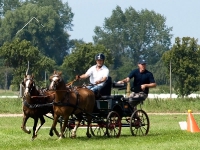 Fahrturnier 2009 in Trent auf Rügen