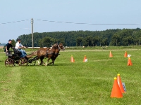 Fahrturnier 2009 in Trent auf Rügen