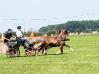 Fahrturnier 2009 in Trent auf Rügen