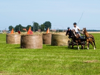 Fahrturnier 2009 in Trent auf Rügen