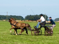 Fahrturnier 2009 in Trent auf Rügen