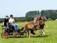 Fahrturnier 2009 in Trent auf Rügen