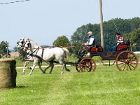 Fahrturnier 2009 in Trent auf Rügen