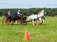 Fahrturnier 2009 in Trent auf Rügen