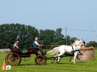 Fahrturnier 2009 in Trent auf Rügen