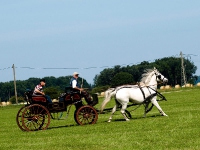 Fahrturnier 2009 in Trent auf Rügen