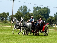 Fahrturnier 2009 in Trent auf Rügen