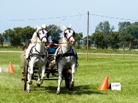 Fahrturnier 2009 in Trent auf Rügen