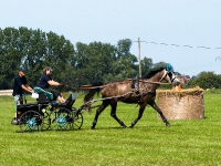 Fahrturnier 2009 in Trent auf Rügen