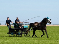 Fahrturnier 2009 in Trent auf Rügen