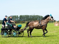 Fahrturnier 2009 in Trent auf Rügen