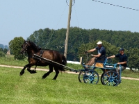 Fahrturnier 2009 in Trent auf Rügen