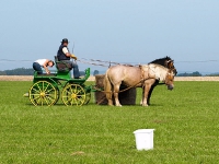 Fahrturnier 2009 in Trent auf Rügen