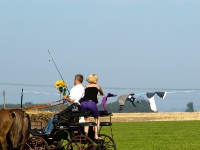 Fahrturnier 2009 in Trent auf Rügen