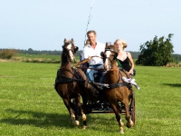 Fahrturnier 2009 in Trent auf Rügen