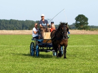 Fahrturnier 2009 in Trent auf Rügen