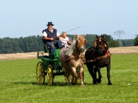 Fahrturnier 2009 in Trent auf Rügen