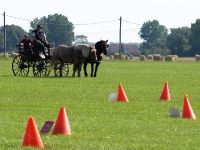 Fahrturnier 2009 in Trent auf Rügen