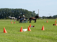 Fahrturnier 2009 in Trent auf Rügen