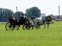 Fahrturnier 2009 in Trent auf Rügen