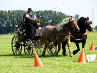 Fahrturnier 2009 in Trent auf Rügen