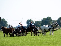 Fahrturnier 2009 in Trent auf Rügen