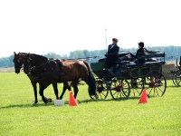 Fahrturnier 2009 in Trent auf Rügen