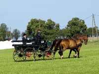 Fahrturnier 2009 in Trent auf Rügen