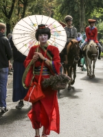 Schneverdingen 2015 - Festumzug