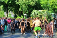 Heideblütenfest Schneverdingen 2015