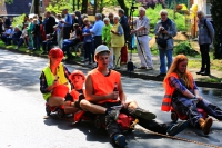 Heideblütenfest Schneverdingen 2015