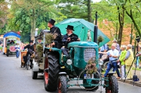 Heideblütenfest Schneverdingen 2015