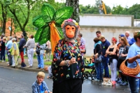 Heideblütenfest Schneverdingen 2015