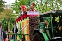 Heideblütenfest Schneverdingen 2015