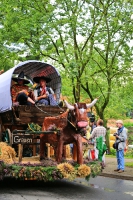 Heideblütenfest Schneverdingen 2015