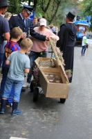 Heideblütenfest Schneverdingen 2015