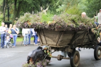 Heideblütenfest Schneverdingen 2015