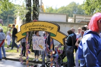 Heideblütenfest Schneverdingen 2015