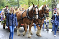 Schneverdingen 2015 - Majestäten und Musikzüge