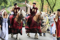 Heideblütenfest Schneverdingen 2015